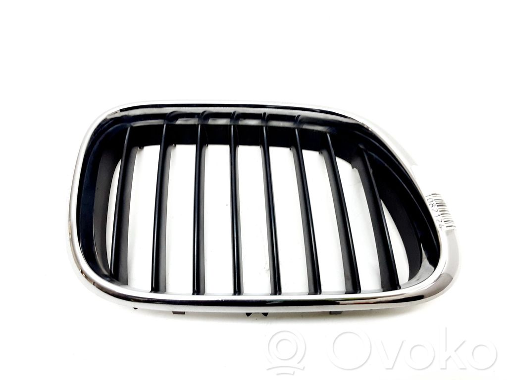 BMW X5 E53 Front grill 
