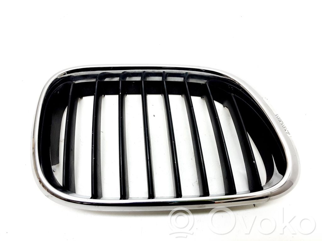 BMW X5 E53 Front grill 