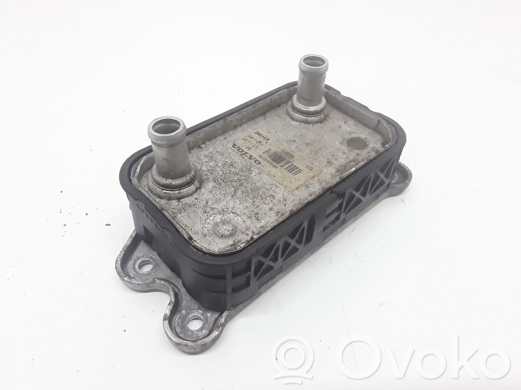 Volvo V50 Ölkühler 