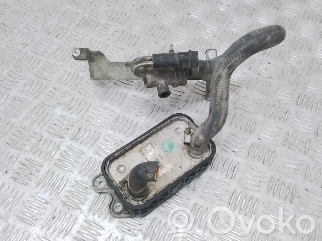 Volvo V50 Ölkühler 