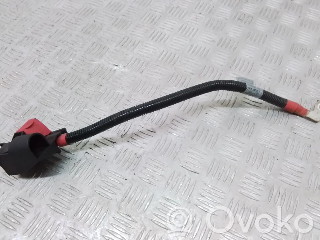 BMW X5 E70 Pliusinis laidas (akumuliatoriaus) 