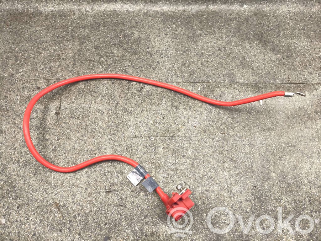 Cable positivo (batería)   6989775,10057310