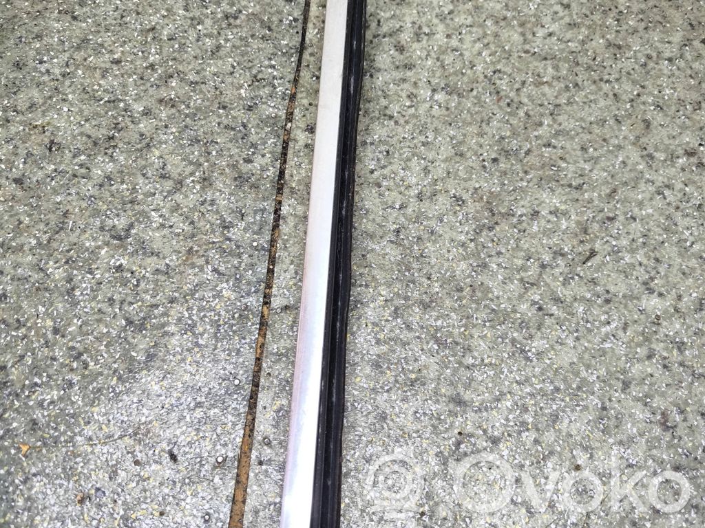 Front door trim (molding)