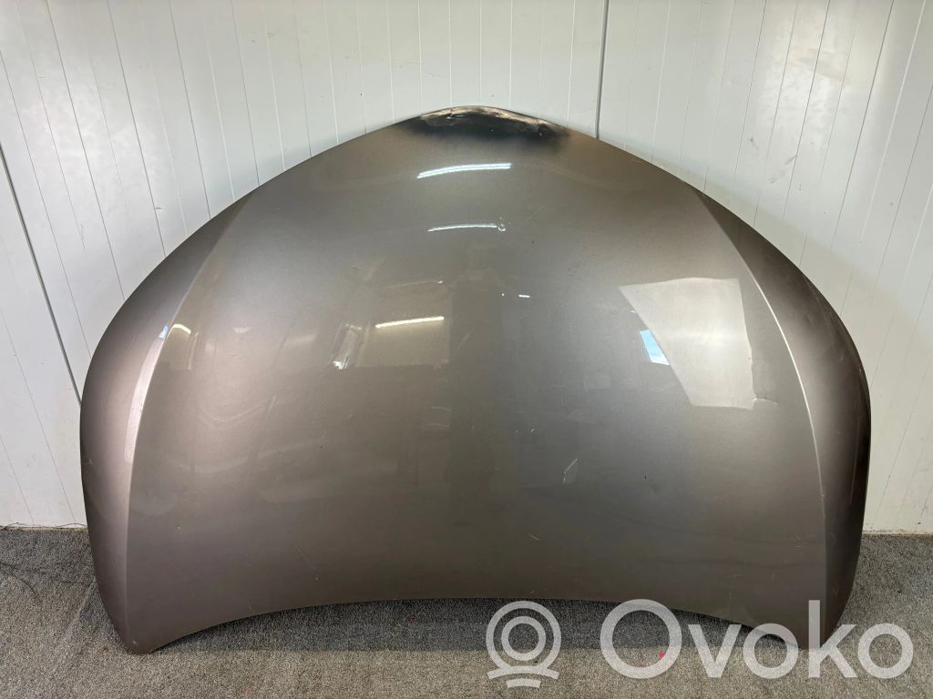Engine bonnet/hood