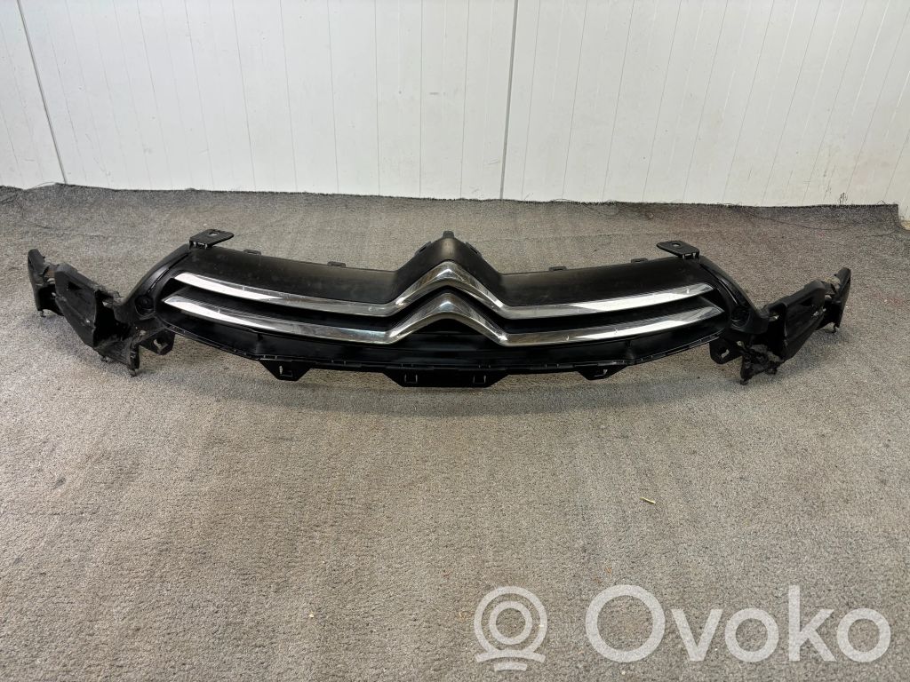Atrapa chłodnicy / Grill   9687946280,G088