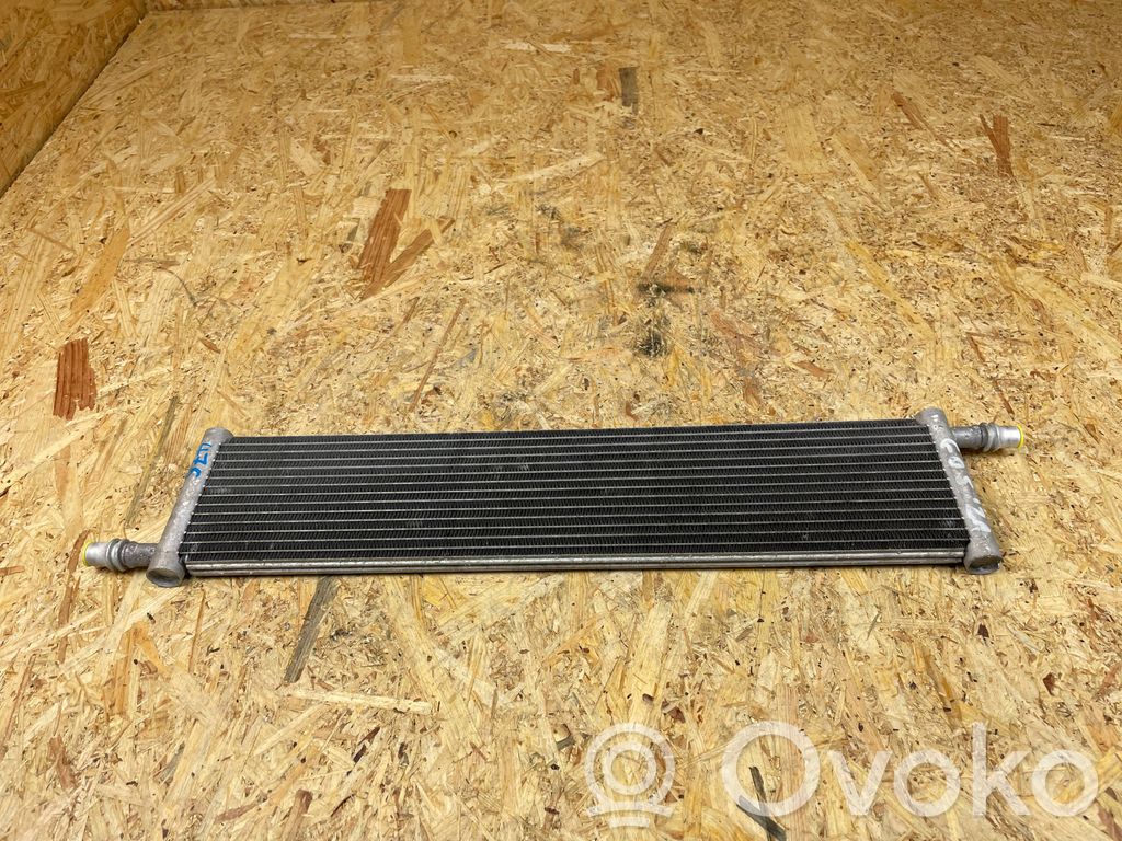 BMW X3 G01 Aušinimo skysčio radiatorius 