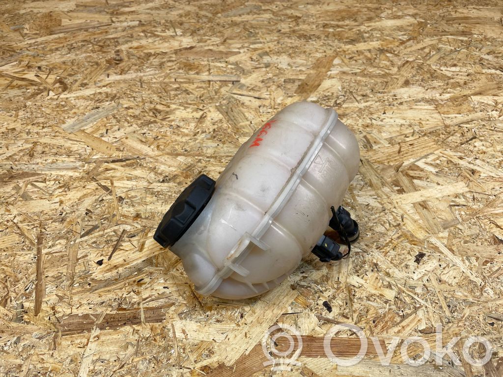 BMW 3 F30 F35 F31 Vas expansiune/rezervor lichid de răcire 