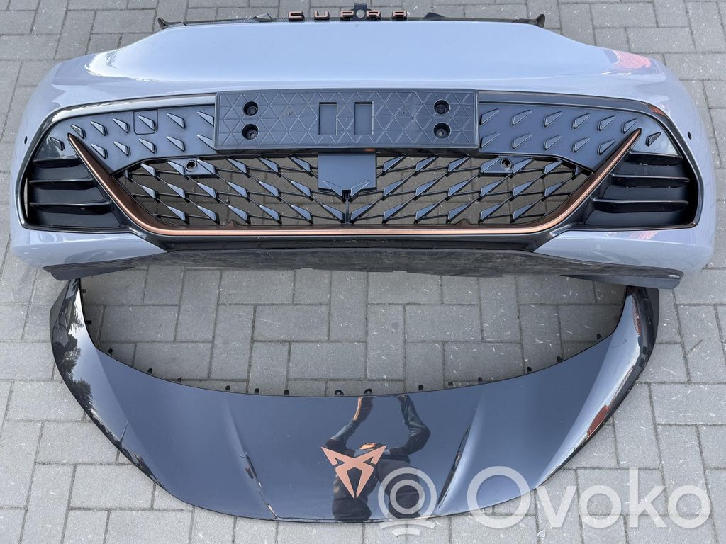 Etupuskuri   10E807221,10E807221