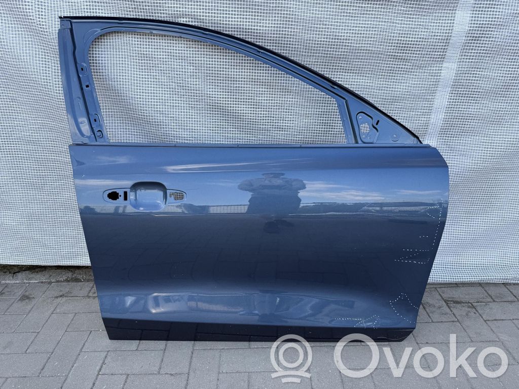 Ford Focus Front door 