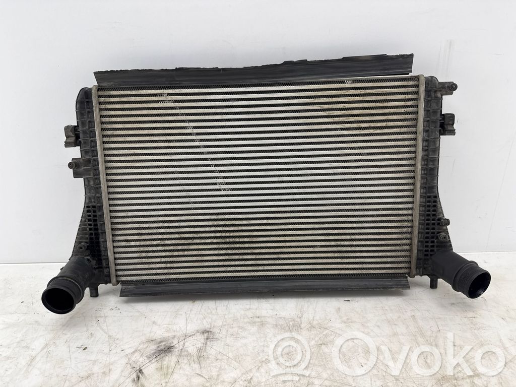 Volkswagen PASSAT B6 Interkūlerio radiatorius 