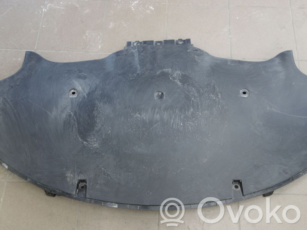 Variklio dugno apsauga   TESLAMODEL3,108398500G