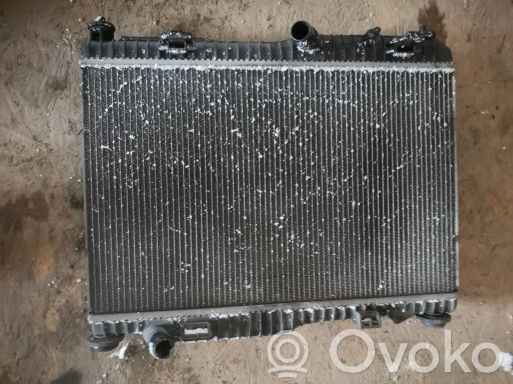 Ford Fiesta Aušinimo skysčio radiatorius 