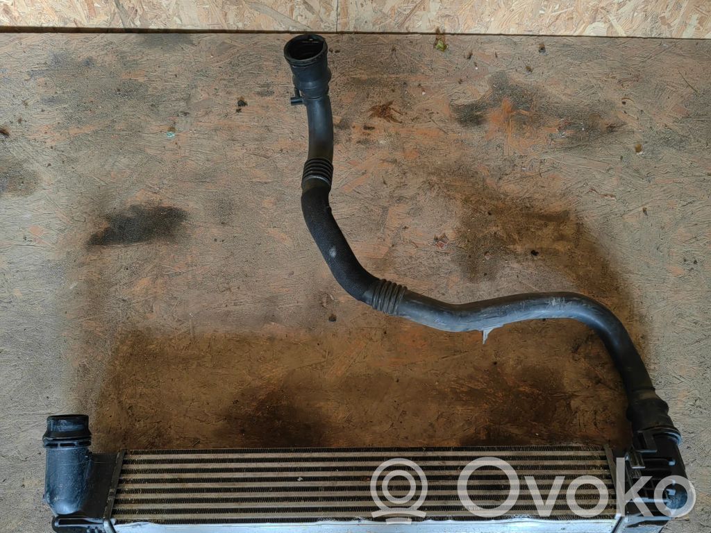 Dacia Duster Intercooler radiator 