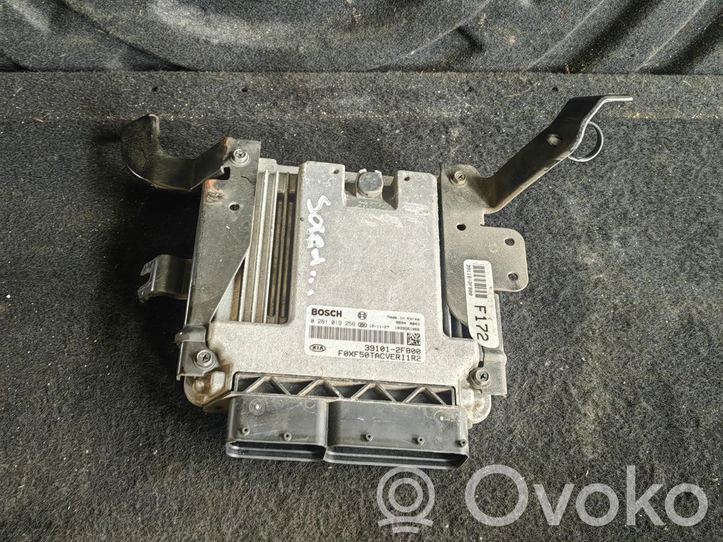 KIA Sorento Engine control unit/module 
