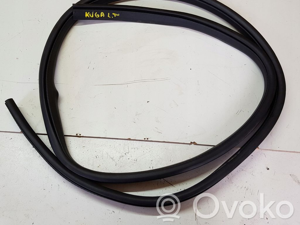 Ford Kuga II Gumowa uszczelka drzwi tylnych / na karoserii 