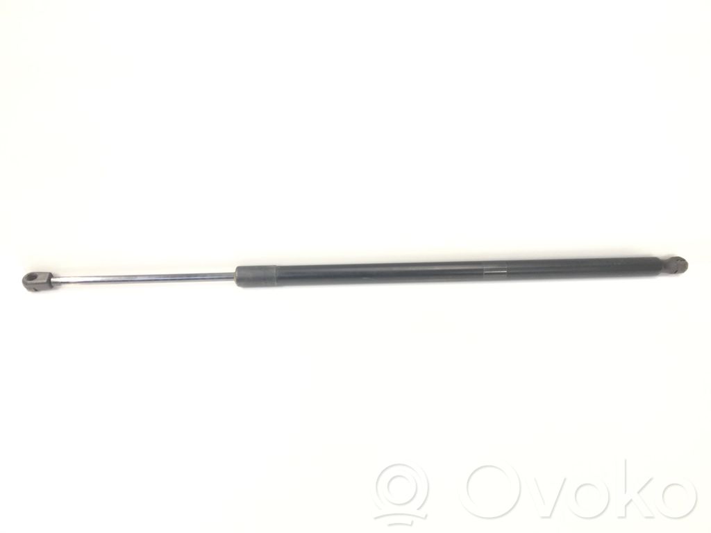 Chrysler Pacifica Tailgate/trunk strut/damper 