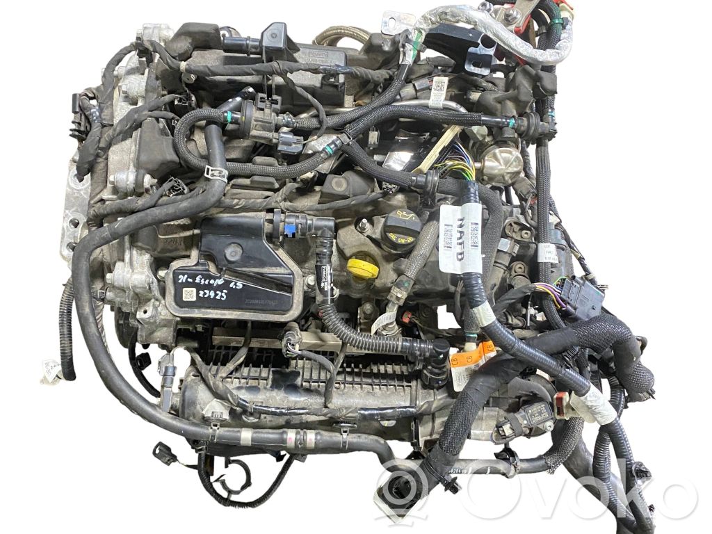 Ford Escape IV Engine 