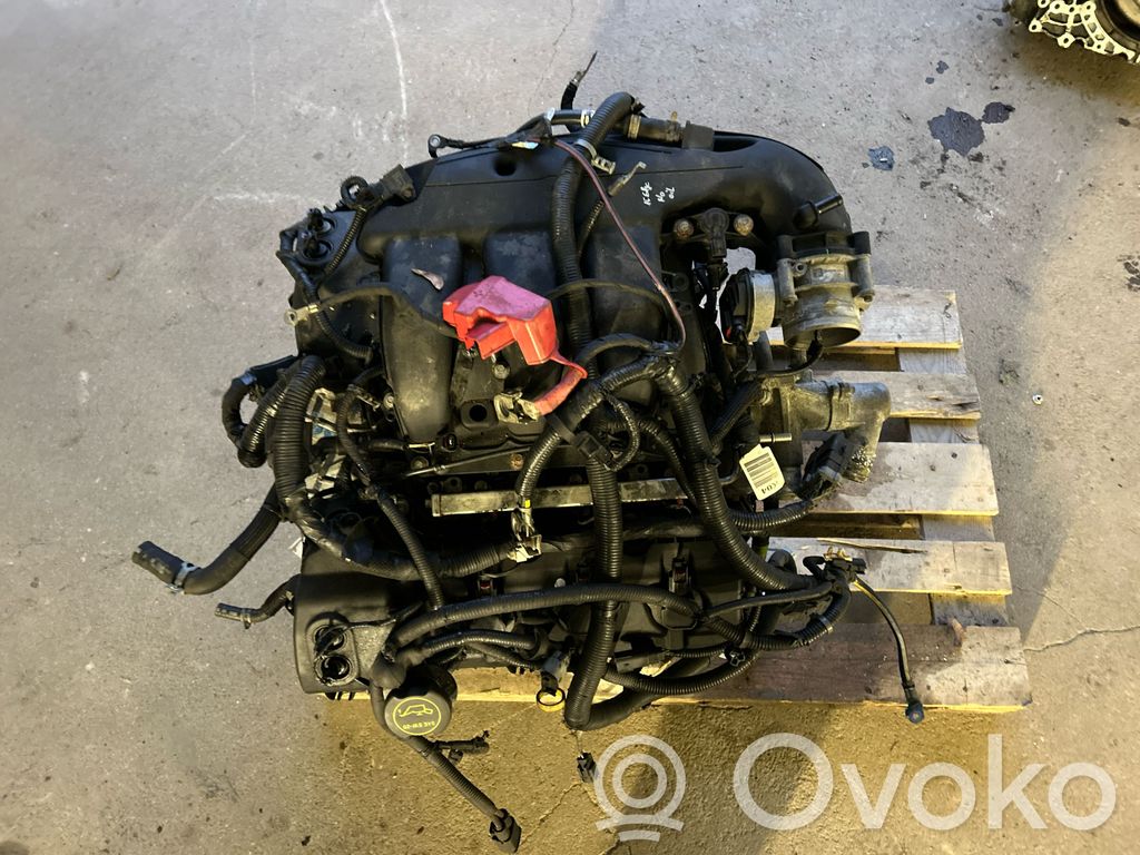 Ford Edge II Motor 