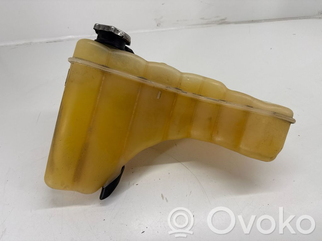 Dodge Charger Vas expansiune/rezervor lichid de răcire 