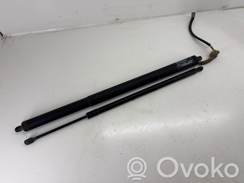 Chrysler Pacifica Tailgate/trunk strut/damper 