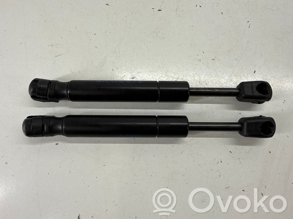 Chrysler Pacifica Amortiguador/puntal del maletero/compartimento de carga 