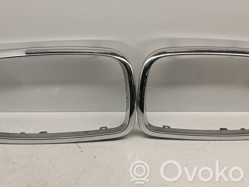 BMW 7 E65 E66 Front grill 
