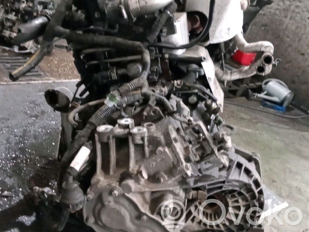 Motor