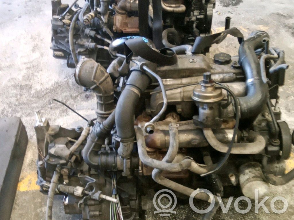 Motor