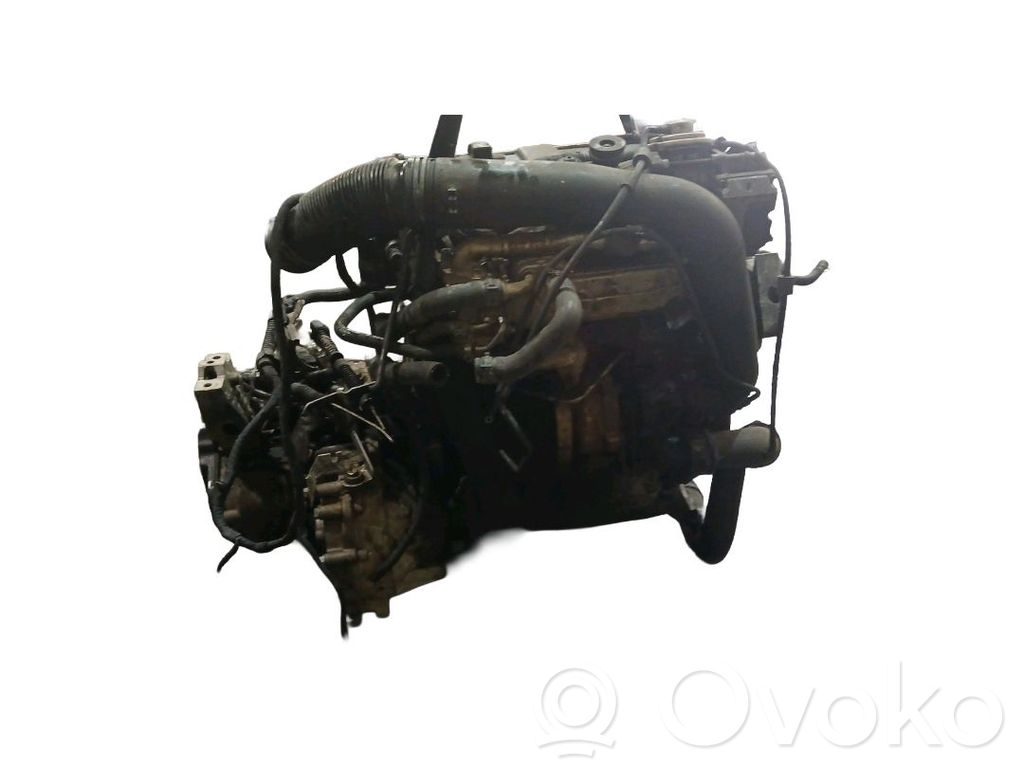Motor