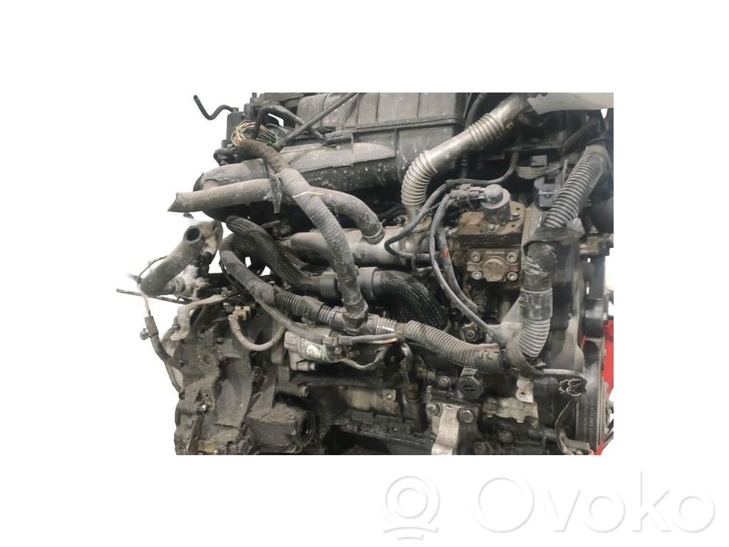 Motor