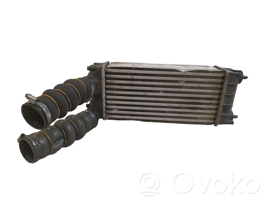 Radiador intercooler   0384N9