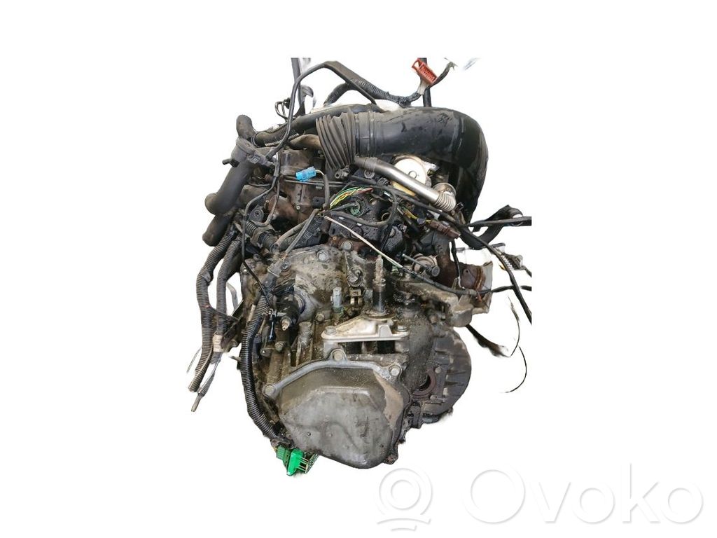 Peugeot 406 Variklis 