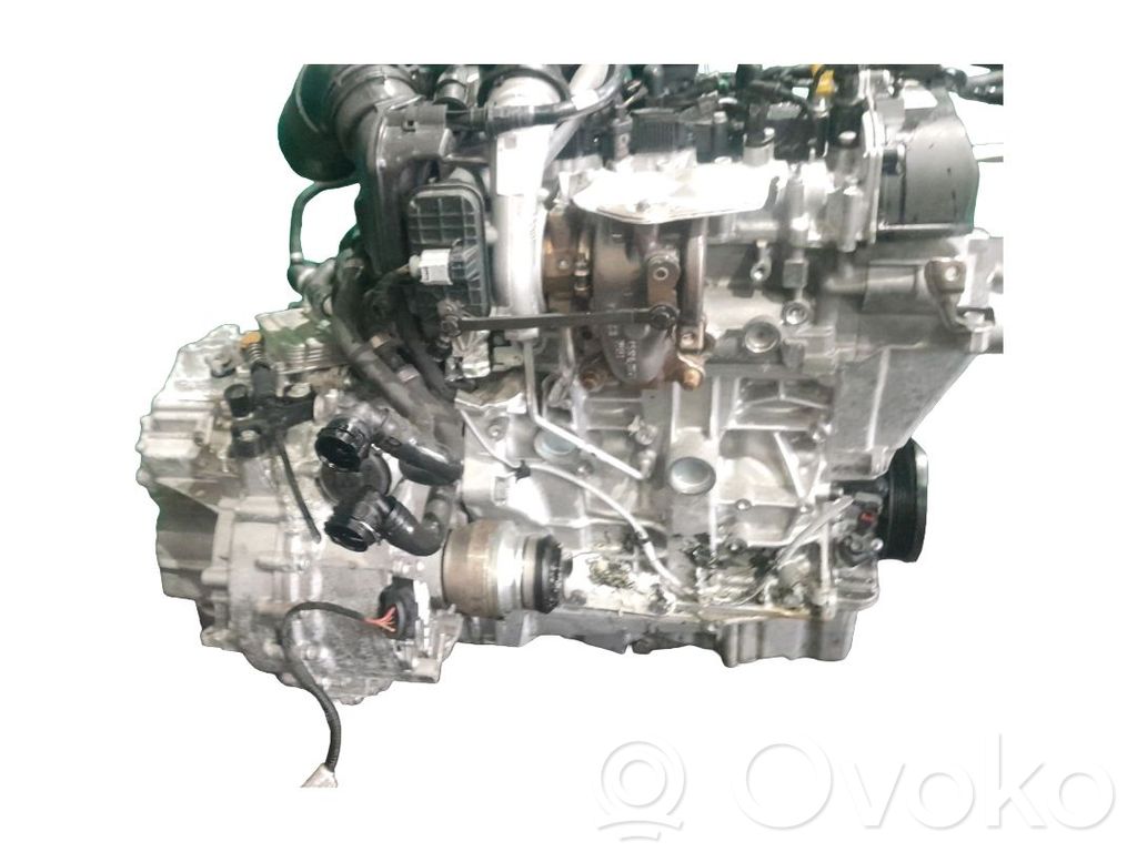 Motor