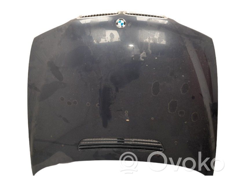 Capó/tapa del motor   41617043239