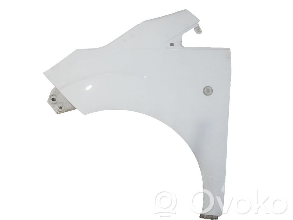 Kotflügel   2545758,PET76A16016AF