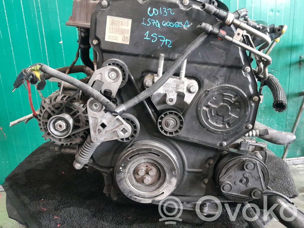 Motor