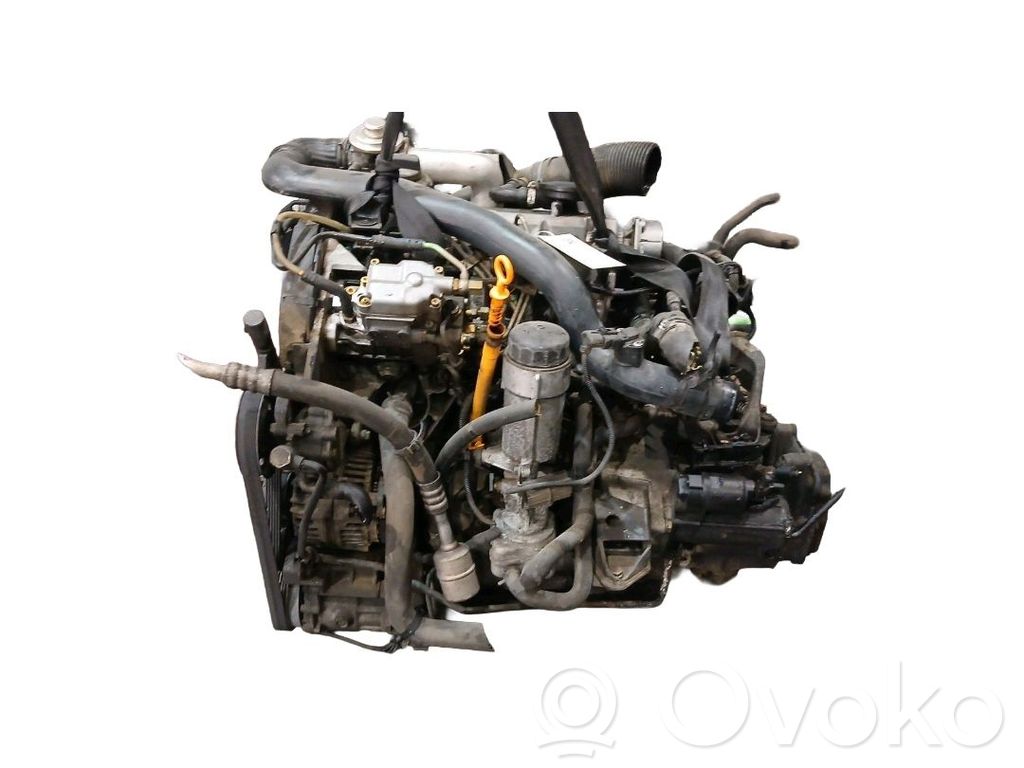 Motor