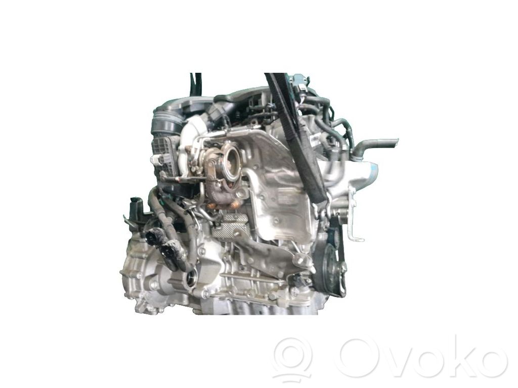 Motor