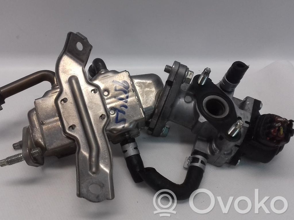 Válvula EGR   2562021020