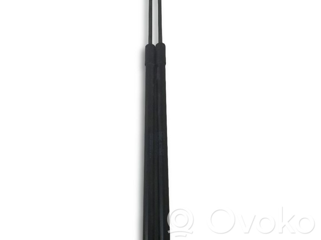 Seat Leon (5F) Ammortizzatore portellone posteriore/bagagliaio