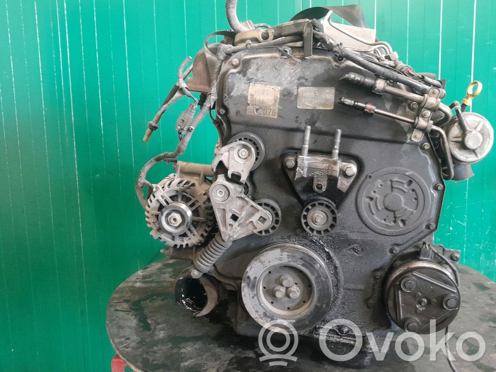 Motore   1352681,FMBA