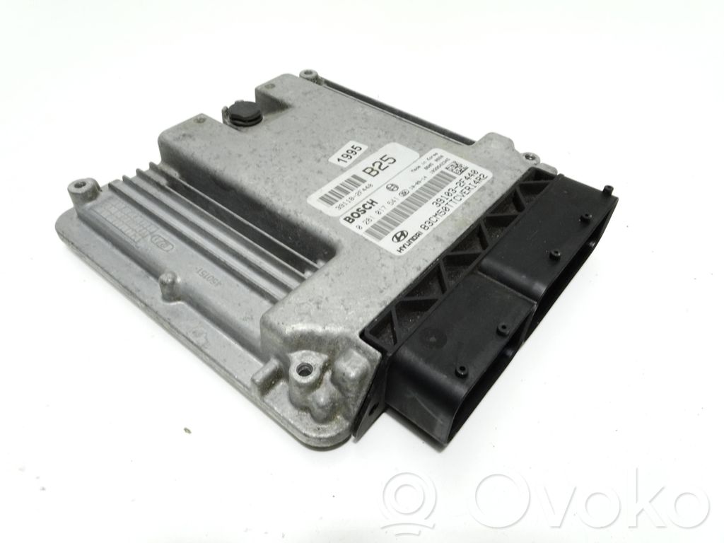 Hyundai Santa Fe Engine control unit/module 