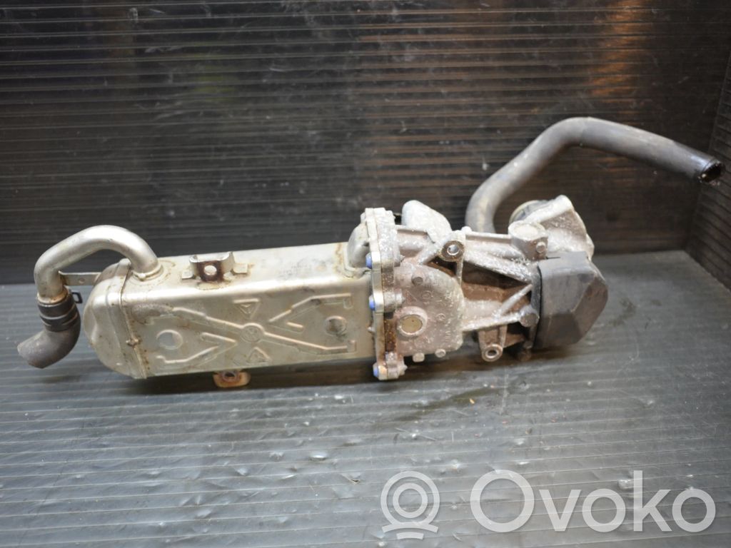 Volkswagen PASSAT B7 Chłodnica spalin EGR 