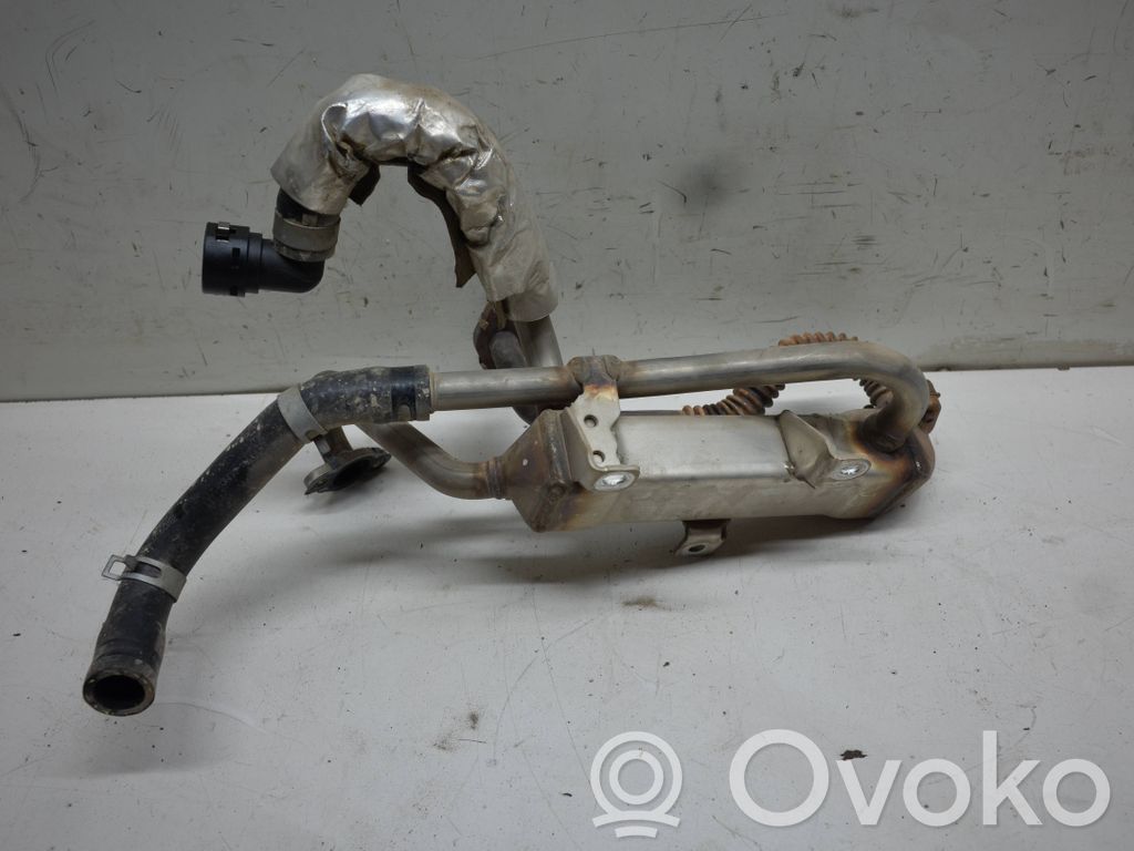 KIA Niro Răcitor supapă EGR 