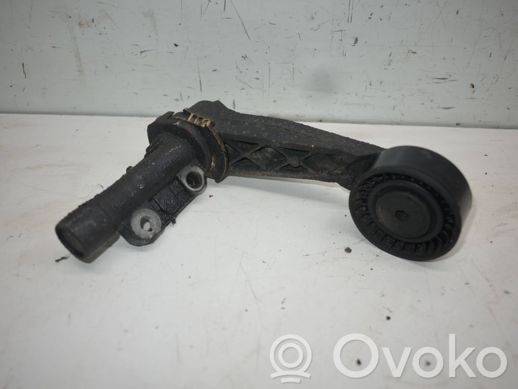 Citroen C3 Picasso Tensor de correa del alternador 