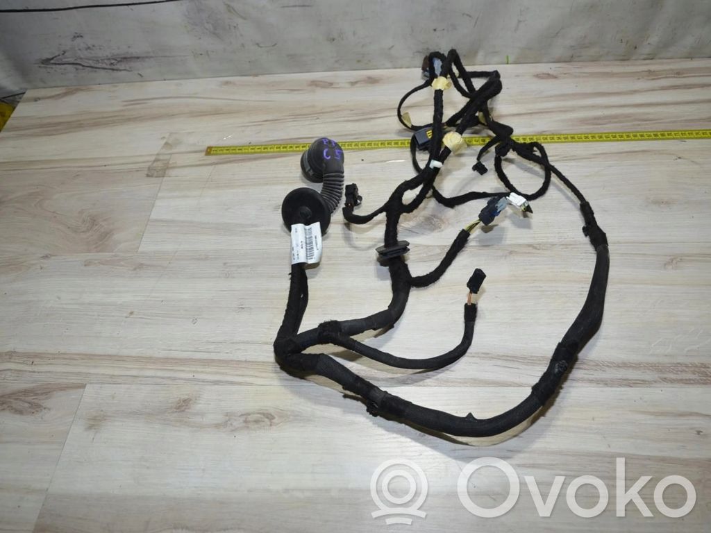 Cableado de puerta delantera   9675031380