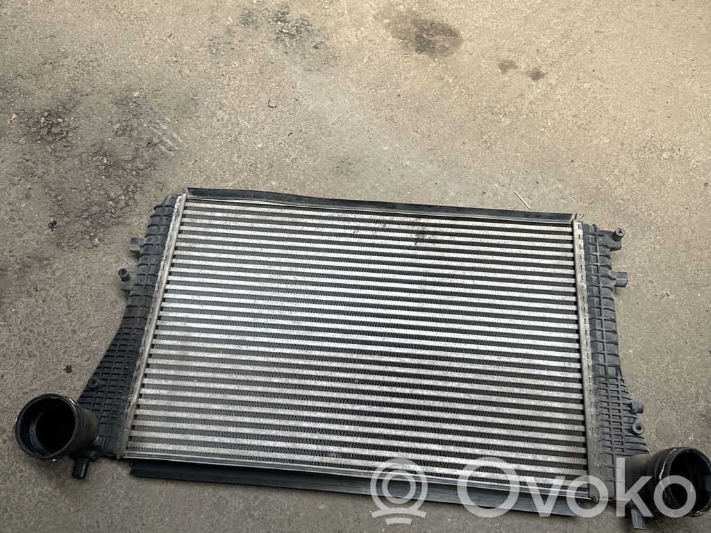 Volkswagen Golf V Interkūlerio radiatorius 