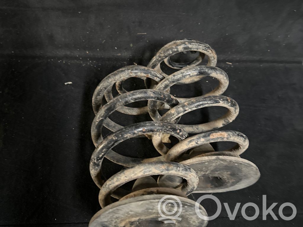 Rear coil spring