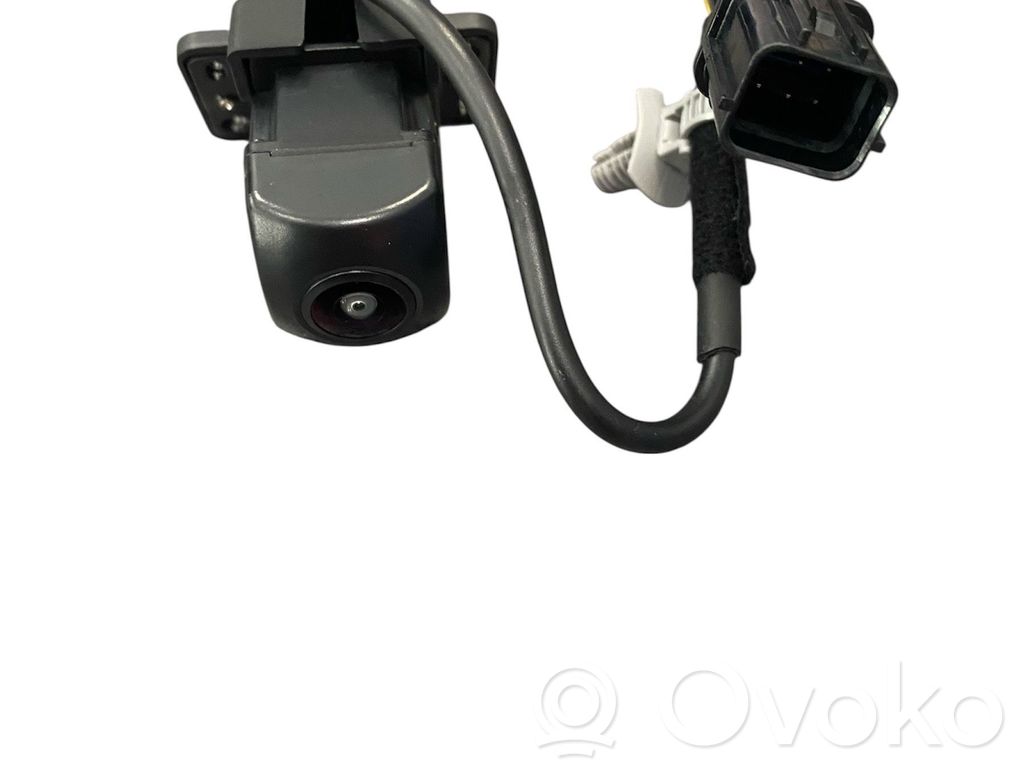 Telecamera per parabrezza   95780D4000
