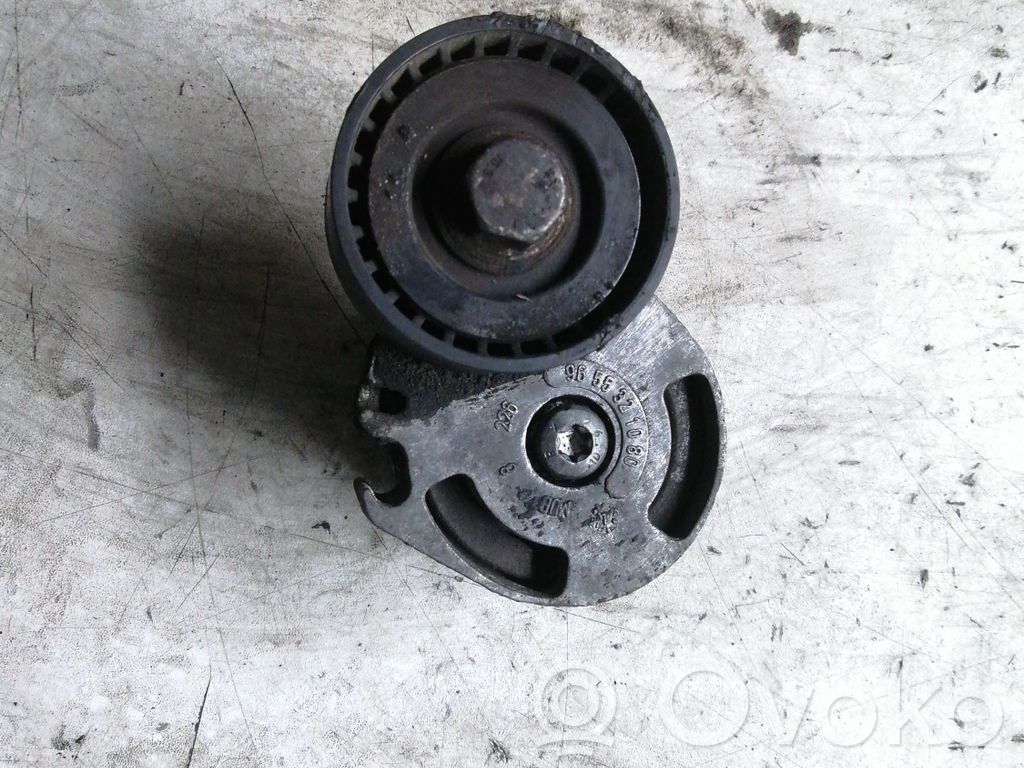 Peugeot 207 Diržo įtempėjas 